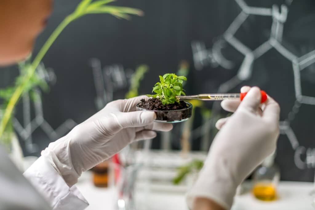 Biodegradability & Compostability Testing