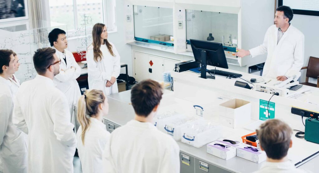 Training & Consulting